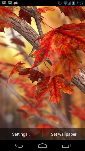 Autumn Tree Free Wallpaper Screenshot 0