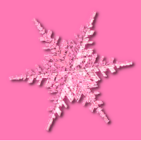 SnowFlake