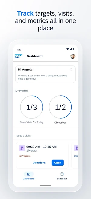 SAP Retail Execution Screenshot 0