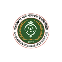 Rice Profile