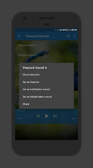 Peacock Sounds Screenshot 2