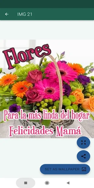 Feliz día de las madres Screenshot 3