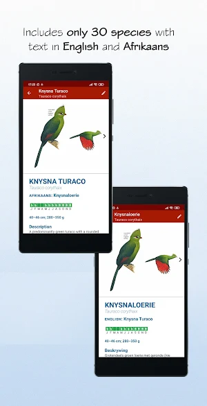 Sasol eBirds Southern Africa LITE Screenshot 2