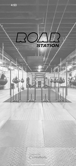 Roar Station Screenshot 0