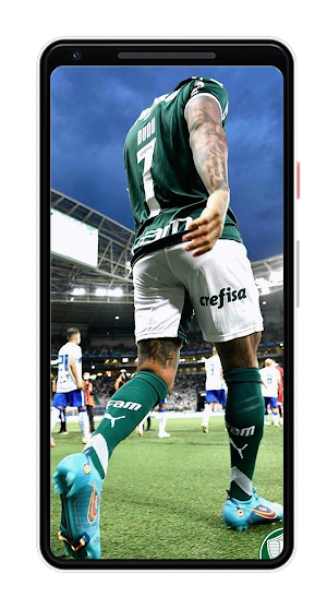 Palmeiras Wallpapers Screenshot 3