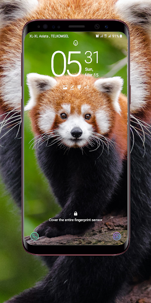 Red Panda Wallpaper Screenshot 3