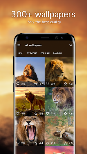 Lion Wallpapers 4K Screenshot 0