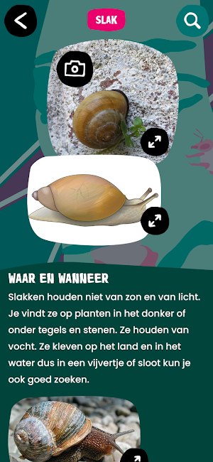 SoortSafari - Het Klokhuis Screenshot 2