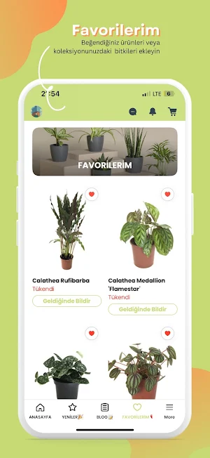 Betonish Screenshot 3
