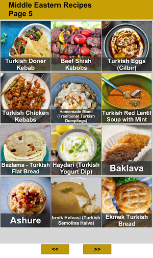 100 Middle Eastern Recipes Screenshot 2
