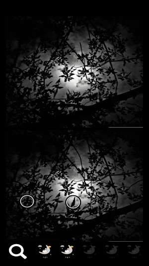 Spot a Difference Nighttime Screenshot 0