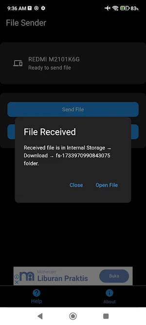 File Sender Screenshot 3