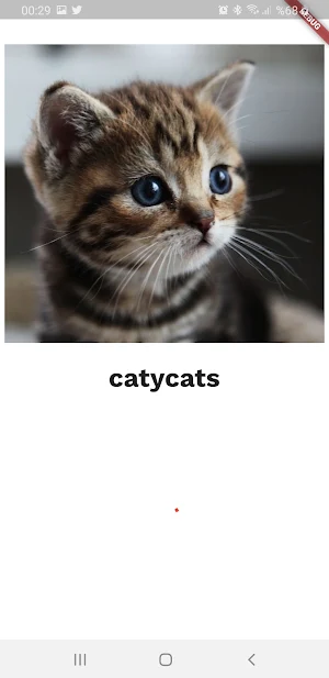 Caty Cats Screenshot 2