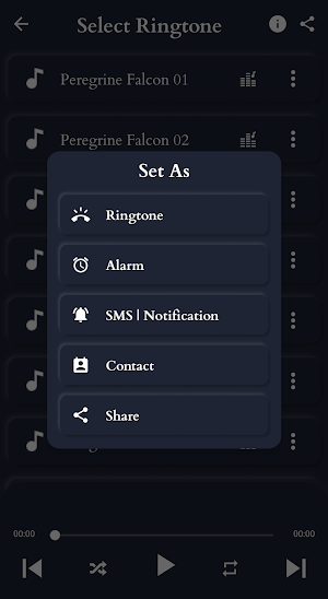 Peregrine Falcon Sounds Screenshot 3