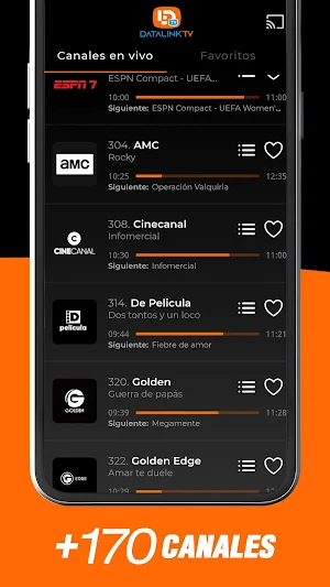 Datalink TV Screenshot 3