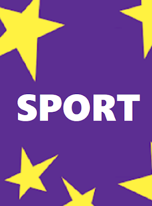 Hollywoodbets ZA Sports Screenshot 0