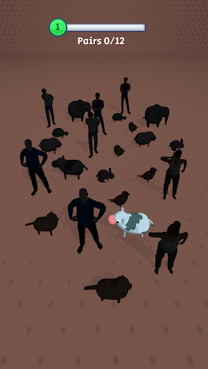 Hidden Pairs 3D Screenshot 3