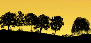 Fionas Sunset-Road To The Home Screenshot 0