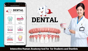 Dental Anatomy Screenshot 0