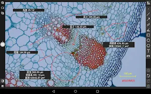 Spectman Screenshot 2
