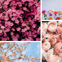 Flowers Wallpaper & Background