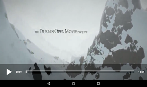 Zen Player Screenshot 3