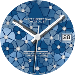Elegant Watch Face Screenshot 2