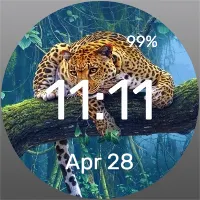 Terrible Cat - Watch Face