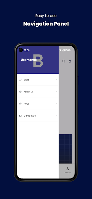 Bridgewhy Screenshot 1