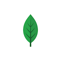MongoDB