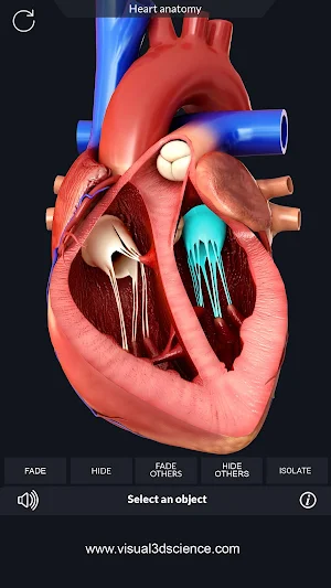 Heart Anatomy Pro. Screenshot 1