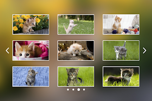 Kittens Jigsaw Puzzle Games Screenshot 1