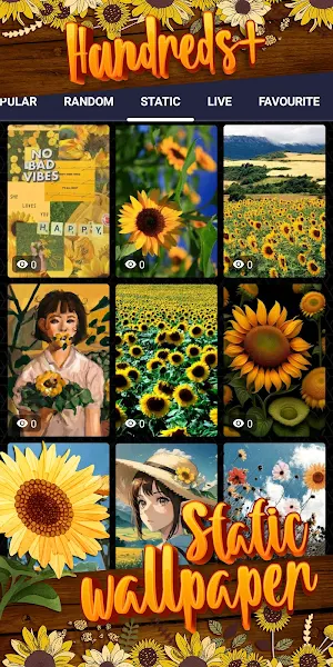 sunflower wallpaper Screenshot 3