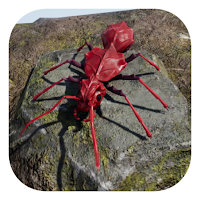 Bomber Ant