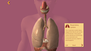 Arloon Anatomy AR Screenshot 2