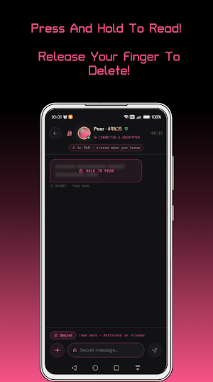 NakeSec P2P Security Messenger Screenshot 3