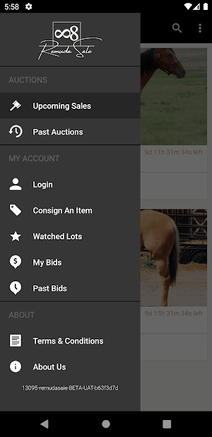 88 Remuda Sale Screenshot 3