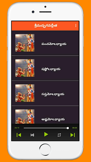 Bhagavad Gita in Telugu Audio Screenshot 3