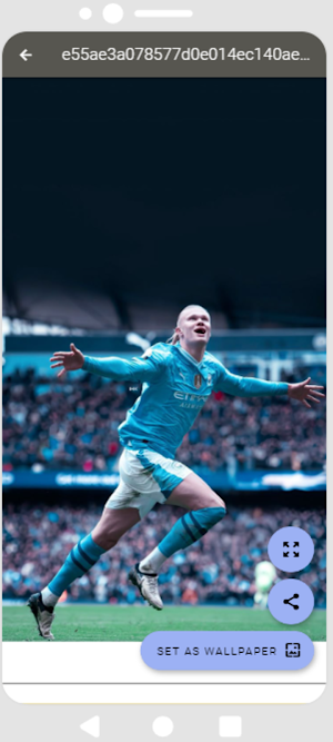 Manchester City HD Wallpapers Screenshot 3