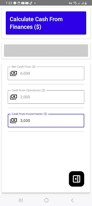 Net Cash Flow Calculator Screenshot 2