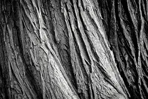 Texture wallpapers Screenshot 3