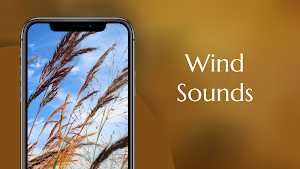 Wind Sounds Screenshot 0