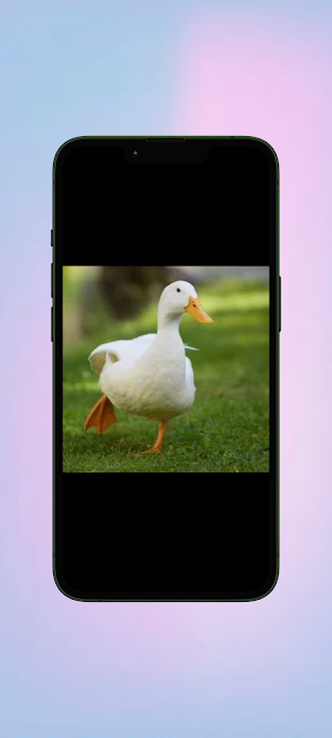 Bebek WalL Screenshot 2