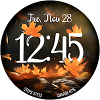 Autumn Leaves - Nature Watch