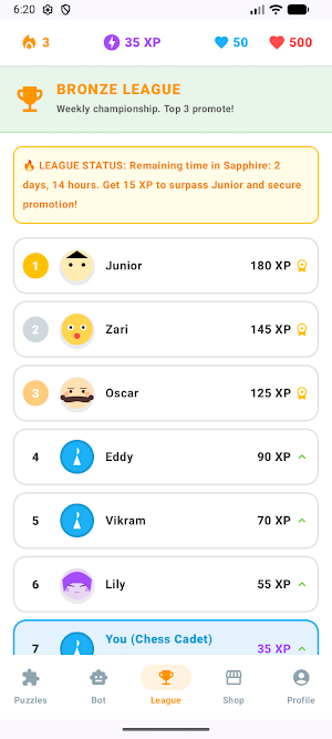 Chess Screenshot 2