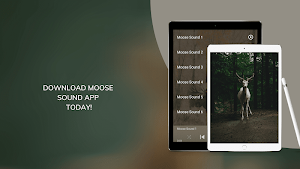 Moose Sounds Screenshot 2