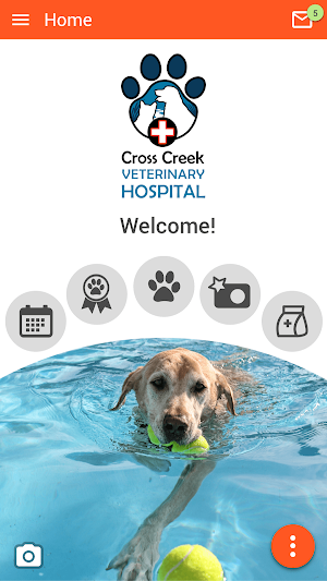Cross Creek Vet Hospital Screenshot 0