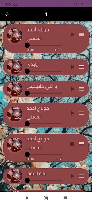 مولاي احمد الحسني بدون نت Screenshot 1