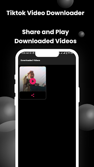 Tiktok Video Downloader Screenshot 3