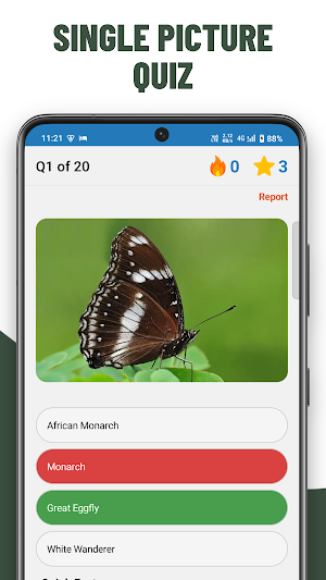 Butterfly Quiz Guess Species Screenshot 3